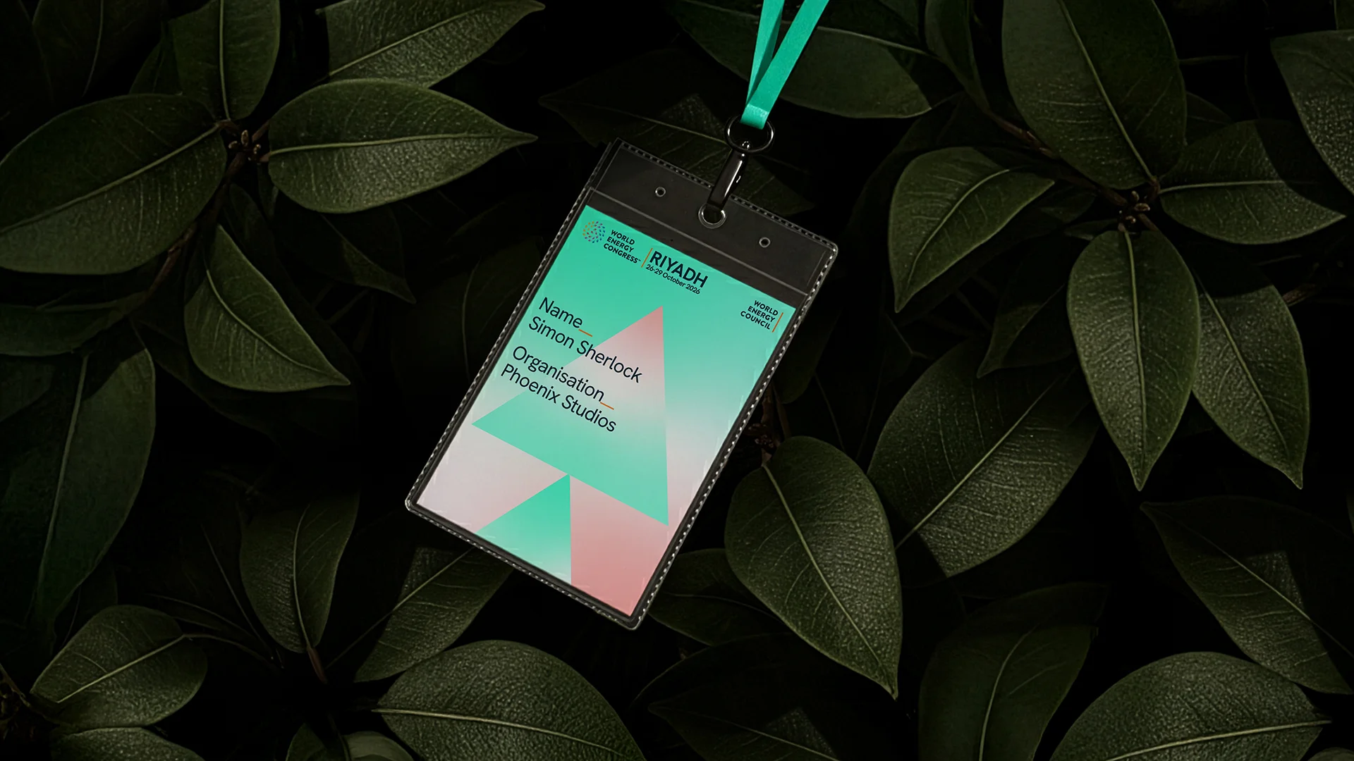 Printed collateral for the Energy Congress